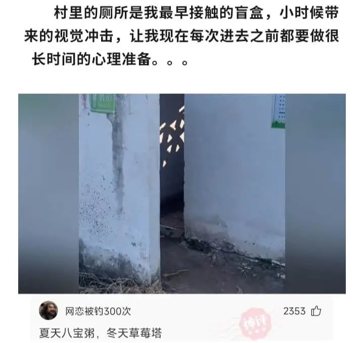 村里的厕所是我最早接触的盲盒，小时候带来的视觉冲击，让我现在