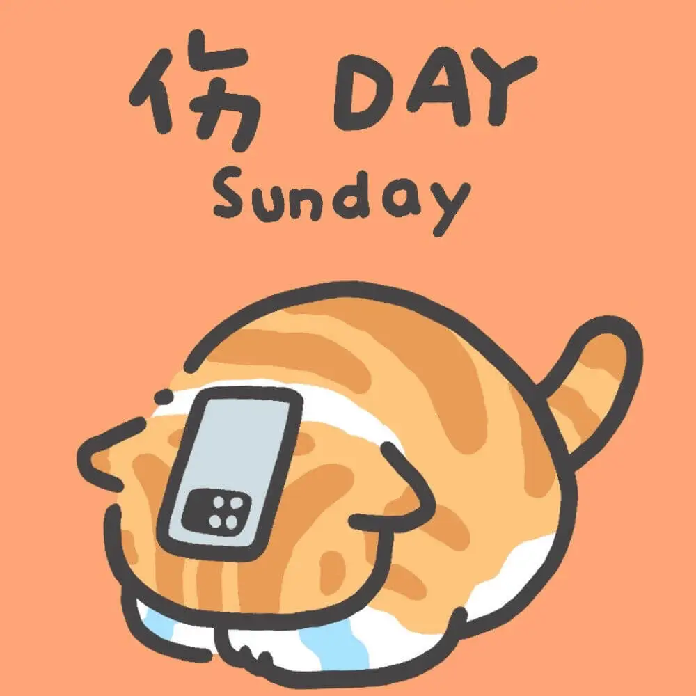 伤DAYSunday