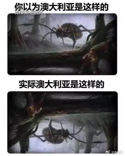 你以为澳大利亚是这样的，实际澳大利亚是这样的。