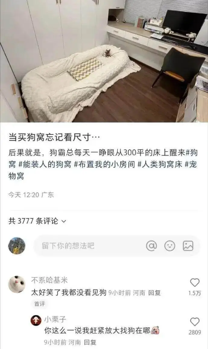 当买狗窝忘记看尺寸，后果就是，狗霸总每天一睁眼从300平的床