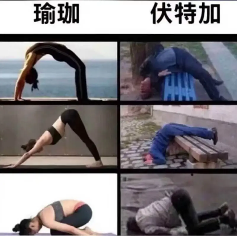 瑜伽伏特加
