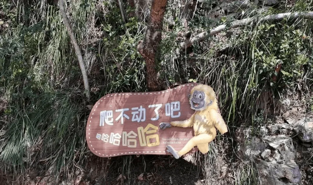 爬不动了吧哈哈哈哈
