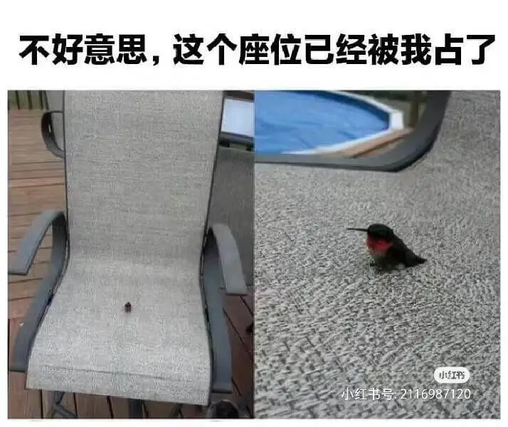不好意思，这个座位已经被我占了小红书