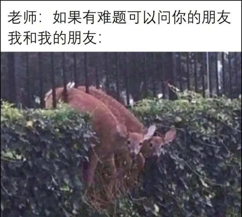 老师：如果有难题可以问你的朋友我和我的朋友：