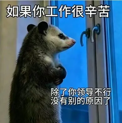 梗图
