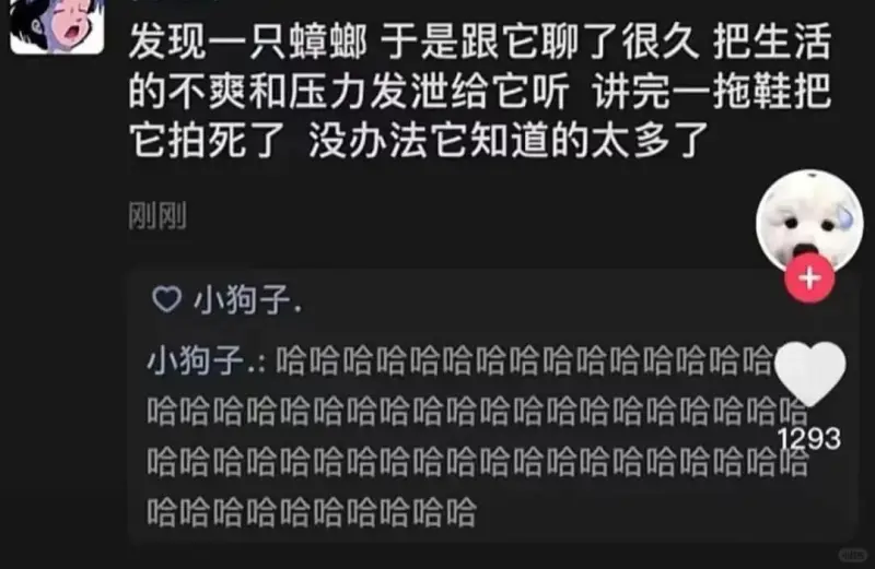 发现一只蟑螂，于是跟它聊了很久，把生活的不爽和压力发泄给它听