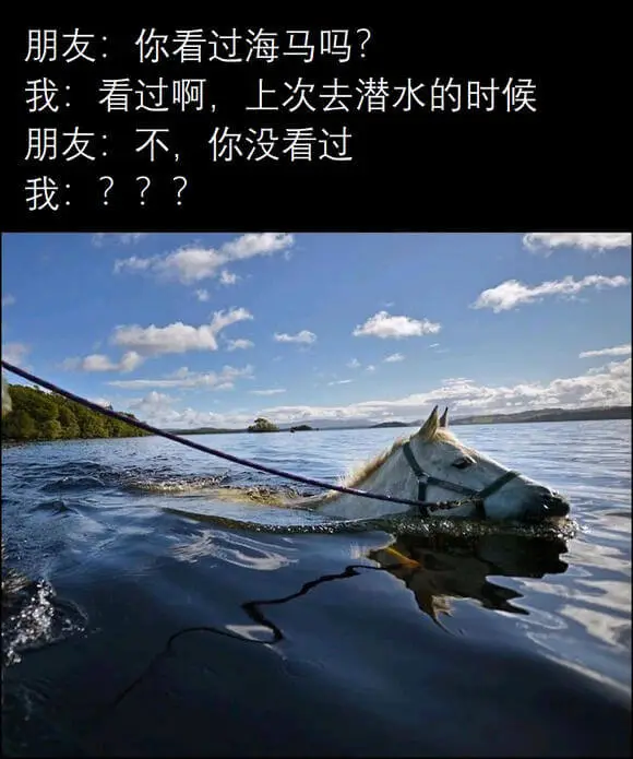 朋友：你看过海马吗？我：看过啊，上次去潜水的时候。朋友：不，