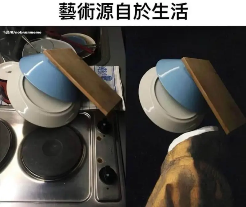 藝術源自於生活$$\text{譯IG/nobrainmeme