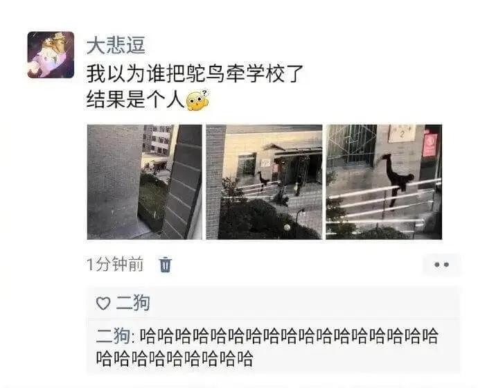 大悲逗我以为谁把鸵鸟牵学校了，结果是个人。1分钟前$\big