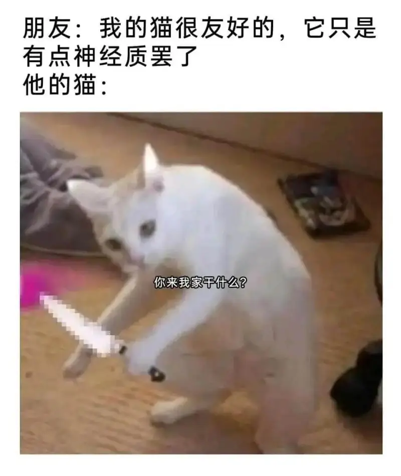 朋友：我的猫很友好的，它只是有点神经质罢了。他的猫：你来我家