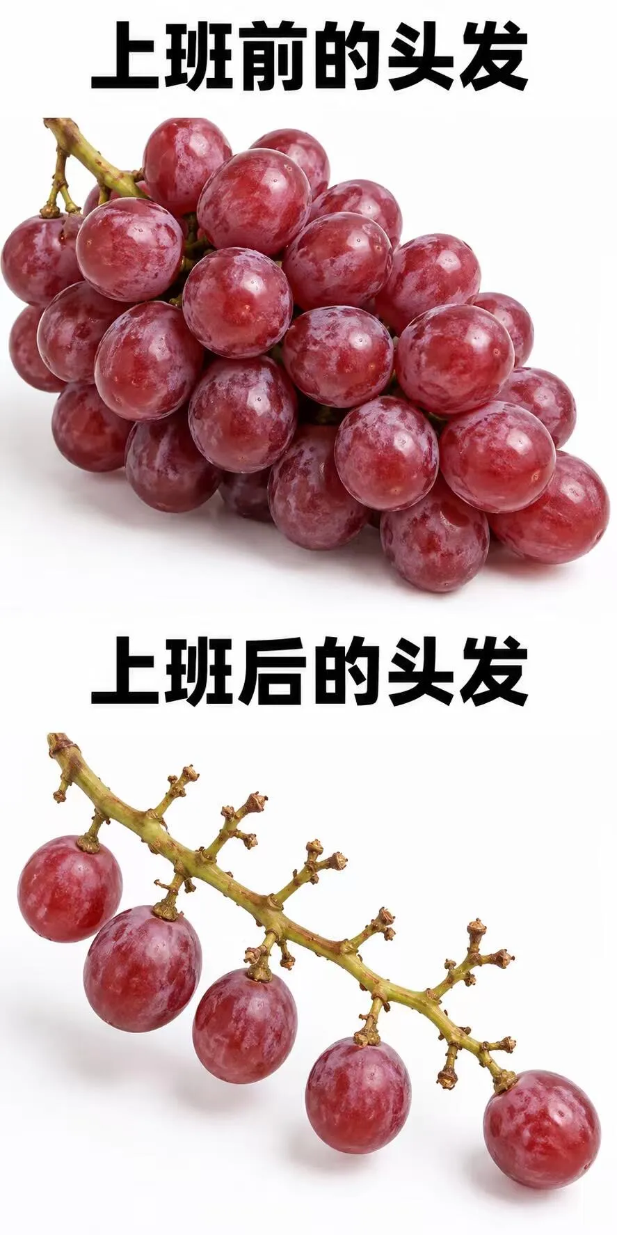 梗图
