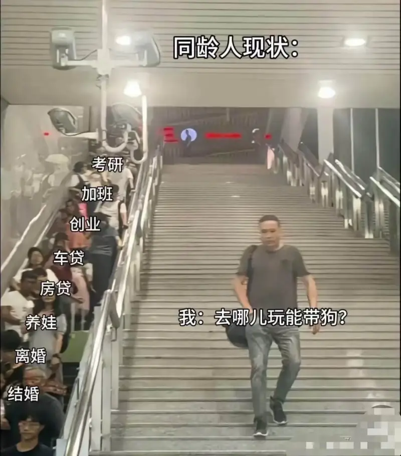 同龄人现状：考研加班创业车贷房贷养娃离婚结婚我：去哪儿玩能带