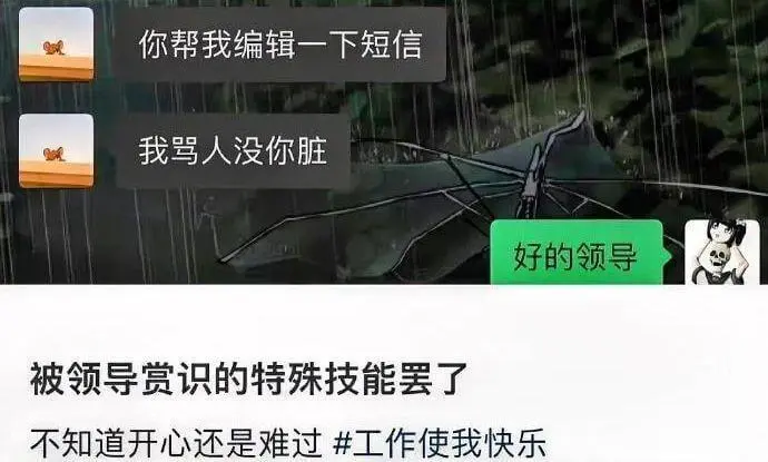 你帮我编辑一下短信我骂人没你脏好的领导被领导赏识的特殊技能罢