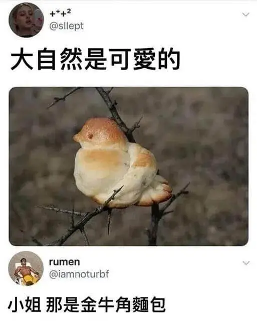 +++2@sllept大自然是可爱的rumen@iamnot