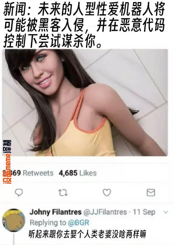 新闻：未来的人型性爱机器人将可能被黑客入侵，并在恶意代码控制