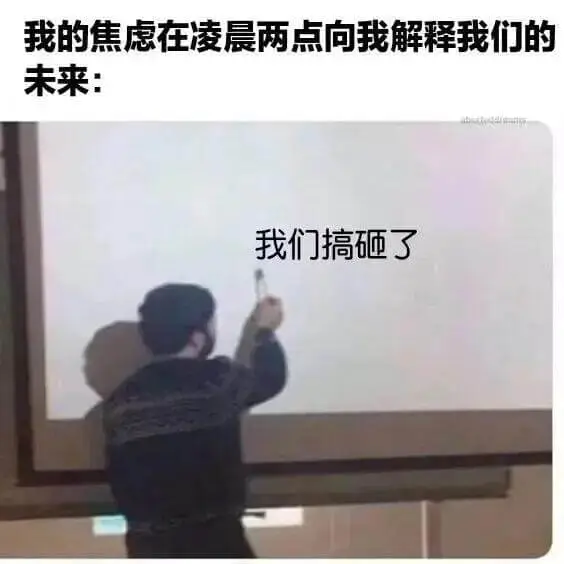 我的焦虑在凌晨两点，可我解释我们的未来：我们搞砸了。