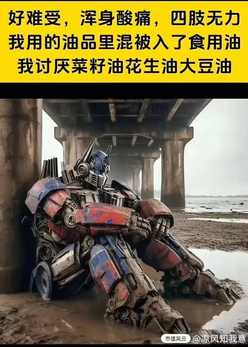 好难受，浑身酸痛，四肢无力我用的油品里混被入了食用油我讨厌菜