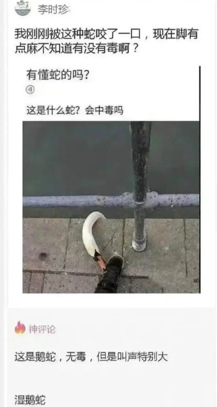 我刚刚被这种蛇咬了一口，现在脚有点麻，不知道有没有毒啊？有懂