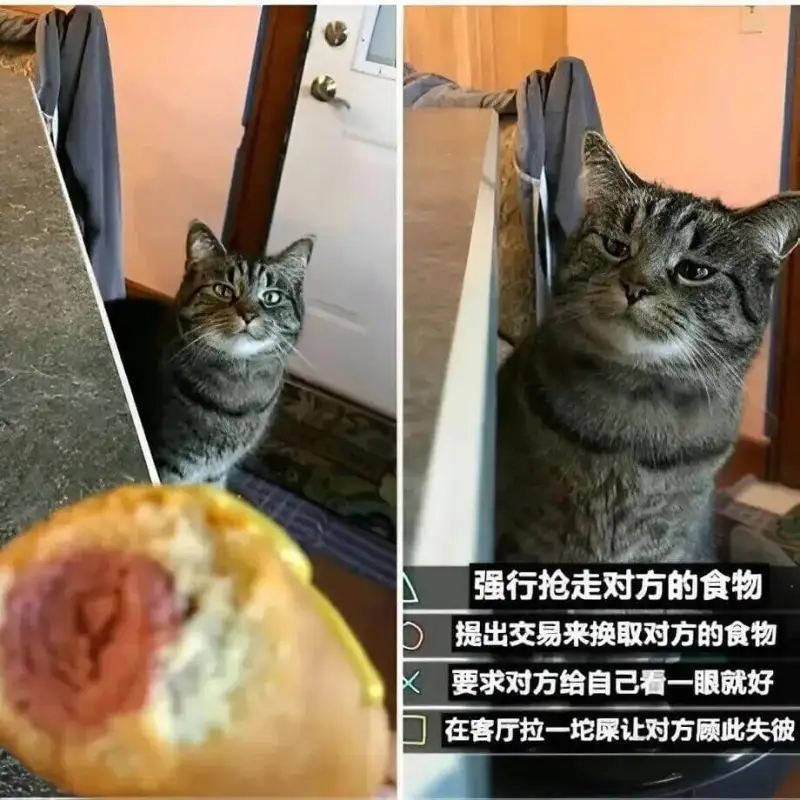 强行抢走对方的食物提出交易来换取对方的食物要求对方给自己看一