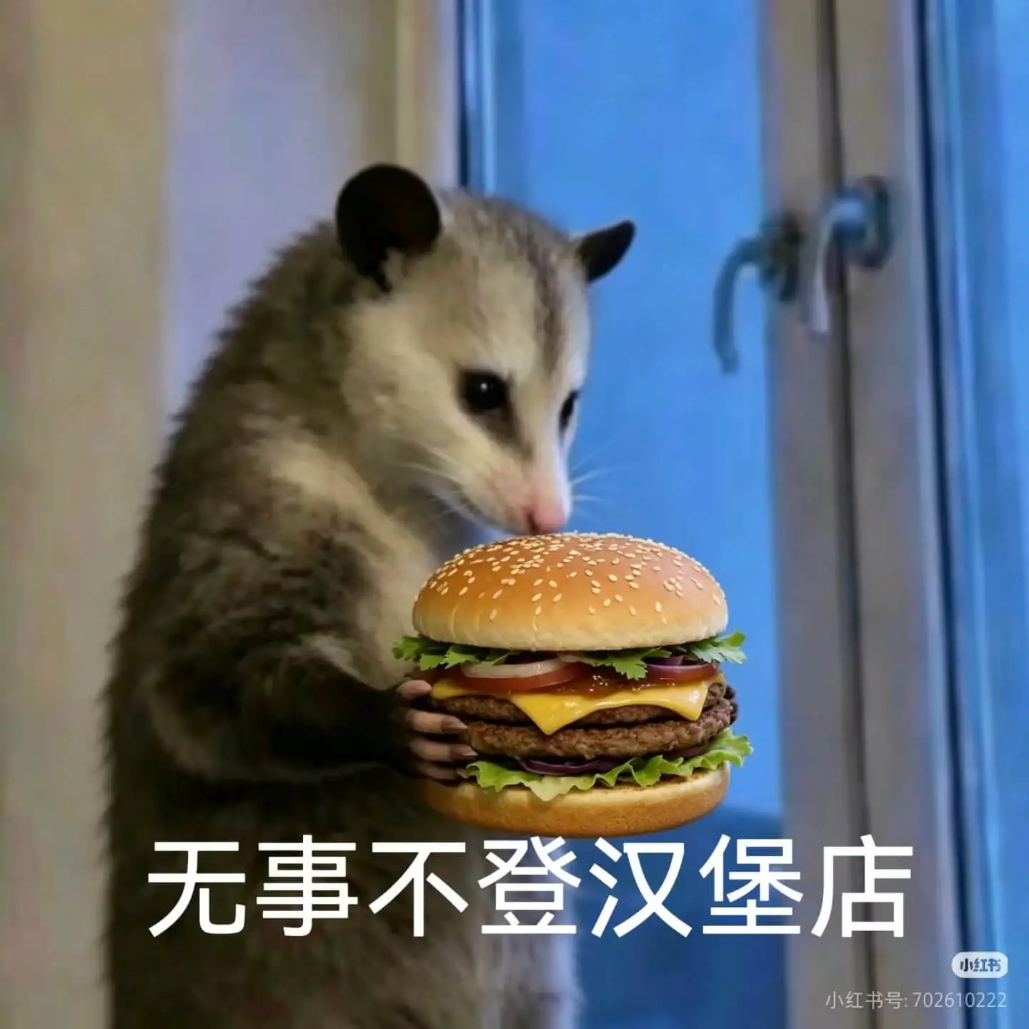 无事不登汉堡店小红书小红书号:702610222