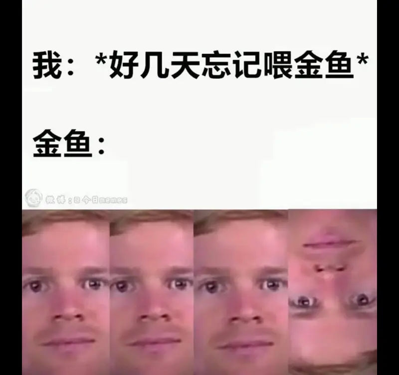 我：*好几天忘记喂金鱼金鱼：微博：今日memes