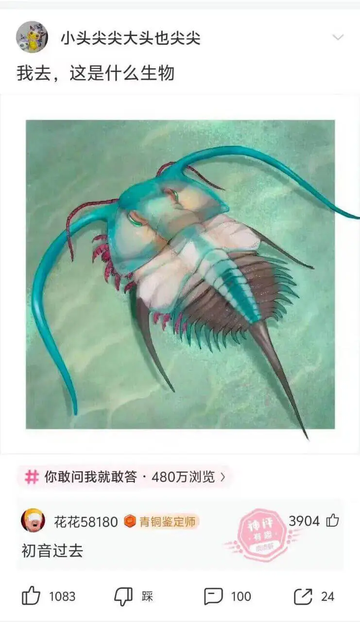 小头尖尖大头也尖尖我去，这是什么生物你敢问我就敢答·480万