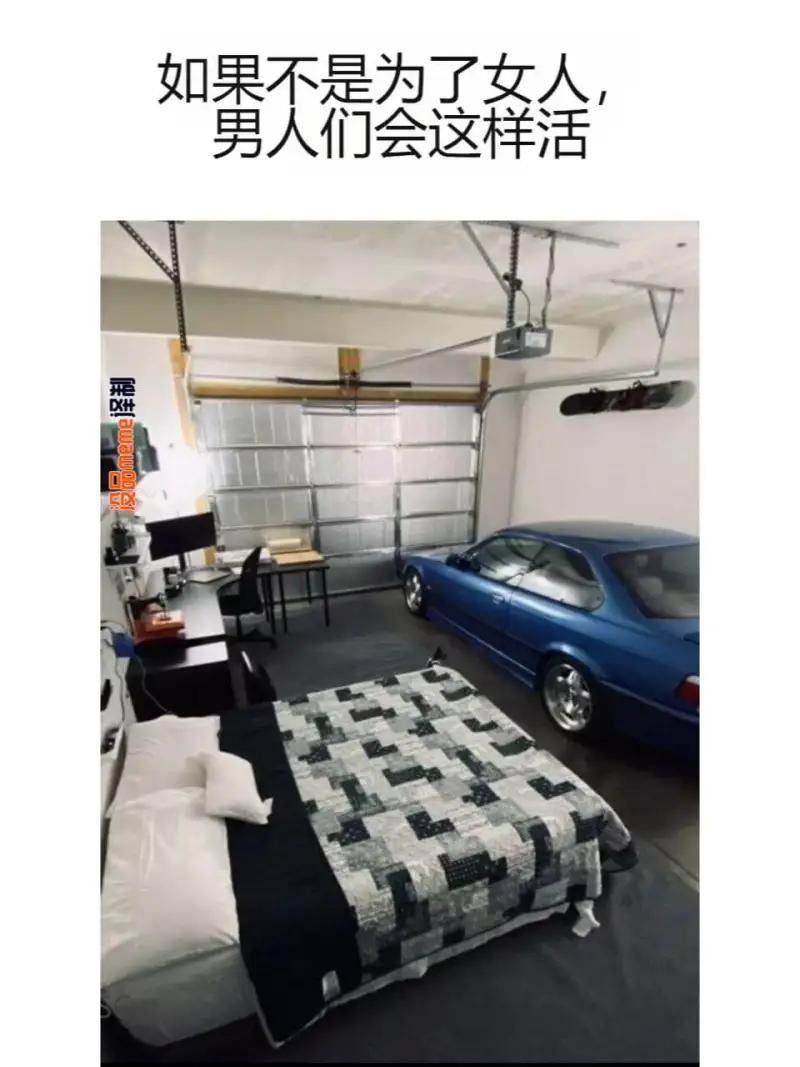 如果不是为了女人，男人们会这样活：泽制没品meme