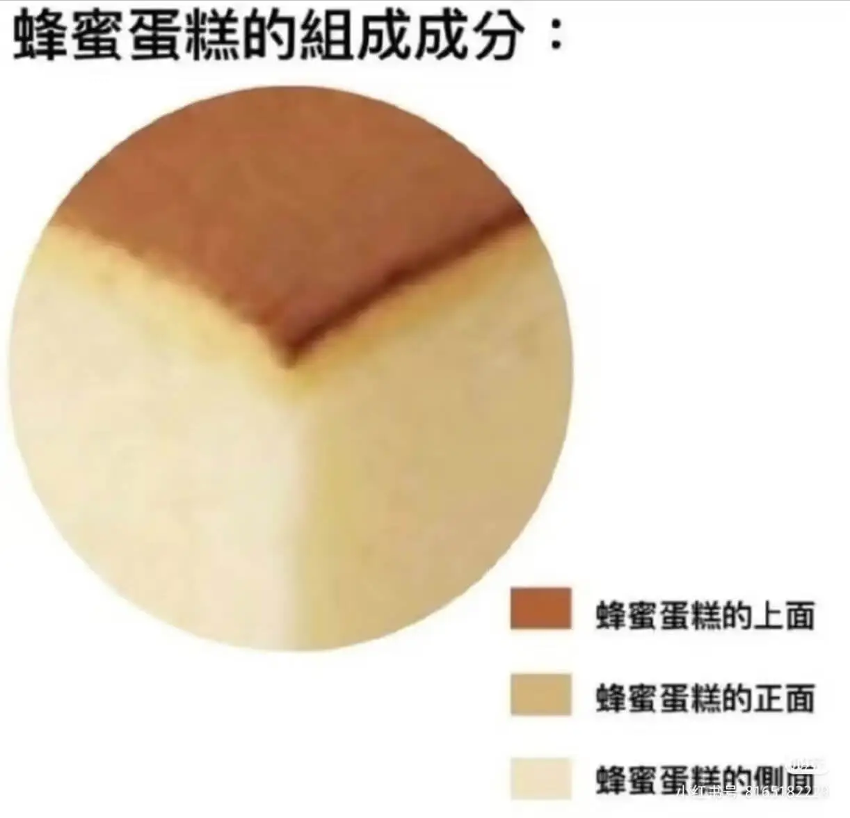 蜂蜜蛋糕的组成成分：蜂蜜蛋糕的上面蜂蜜蛋糕的正面蜂蜜蛋糕的背