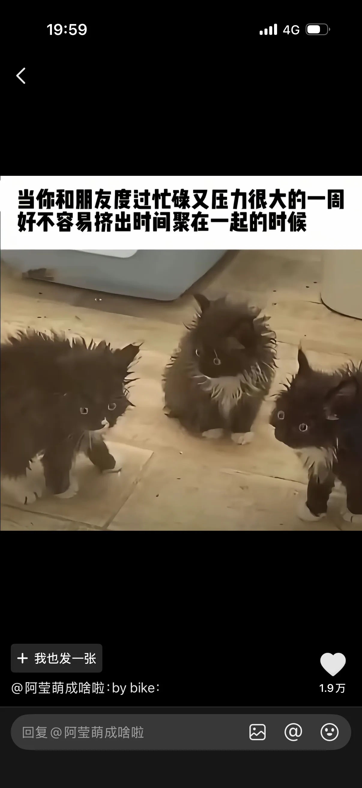 TMD还真是