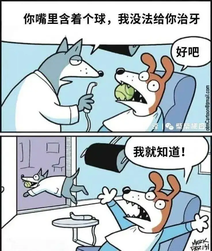 你嘴里含着个球，我没法给你治牙好吧乐我就知道！MARK215