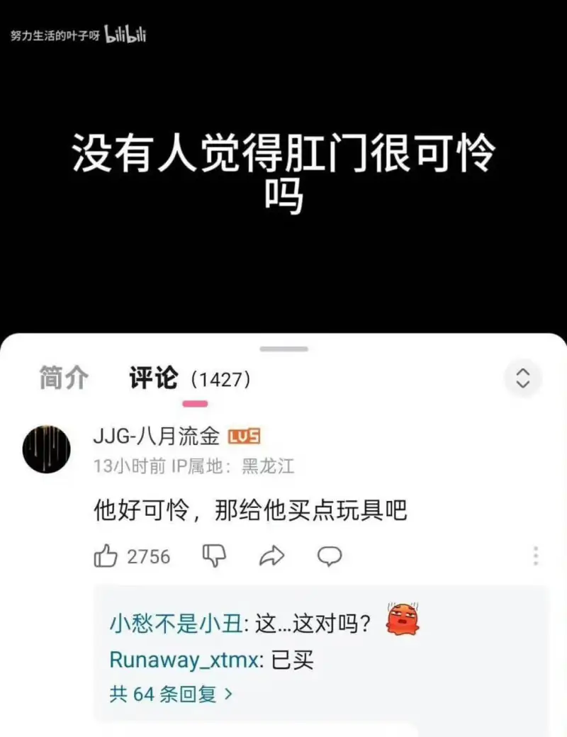 努力生活的叶子呀bilbili没有人觉得肛门很可怜吗简介评论