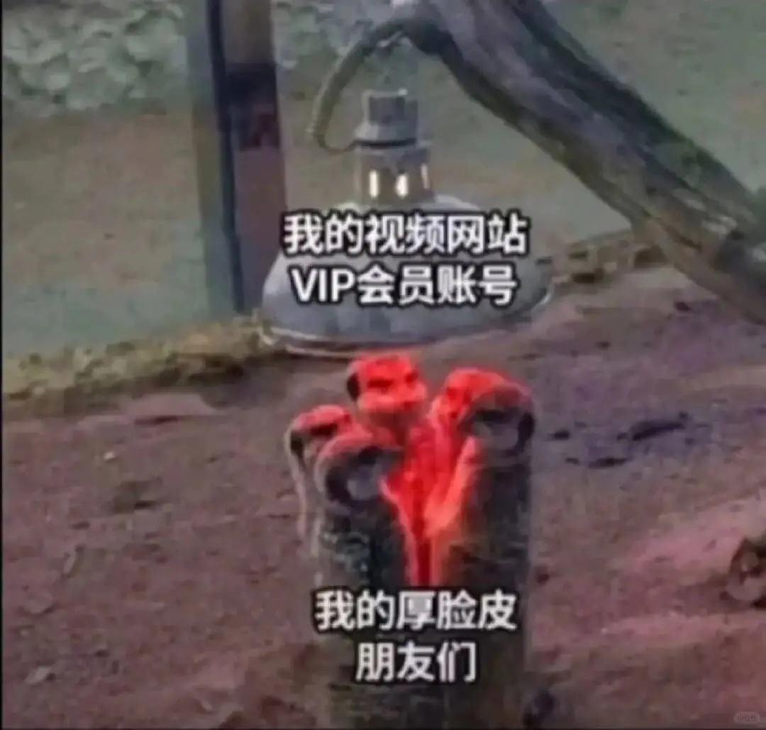 我的视频网站VIP会员账号我的厚脸皮朋友们