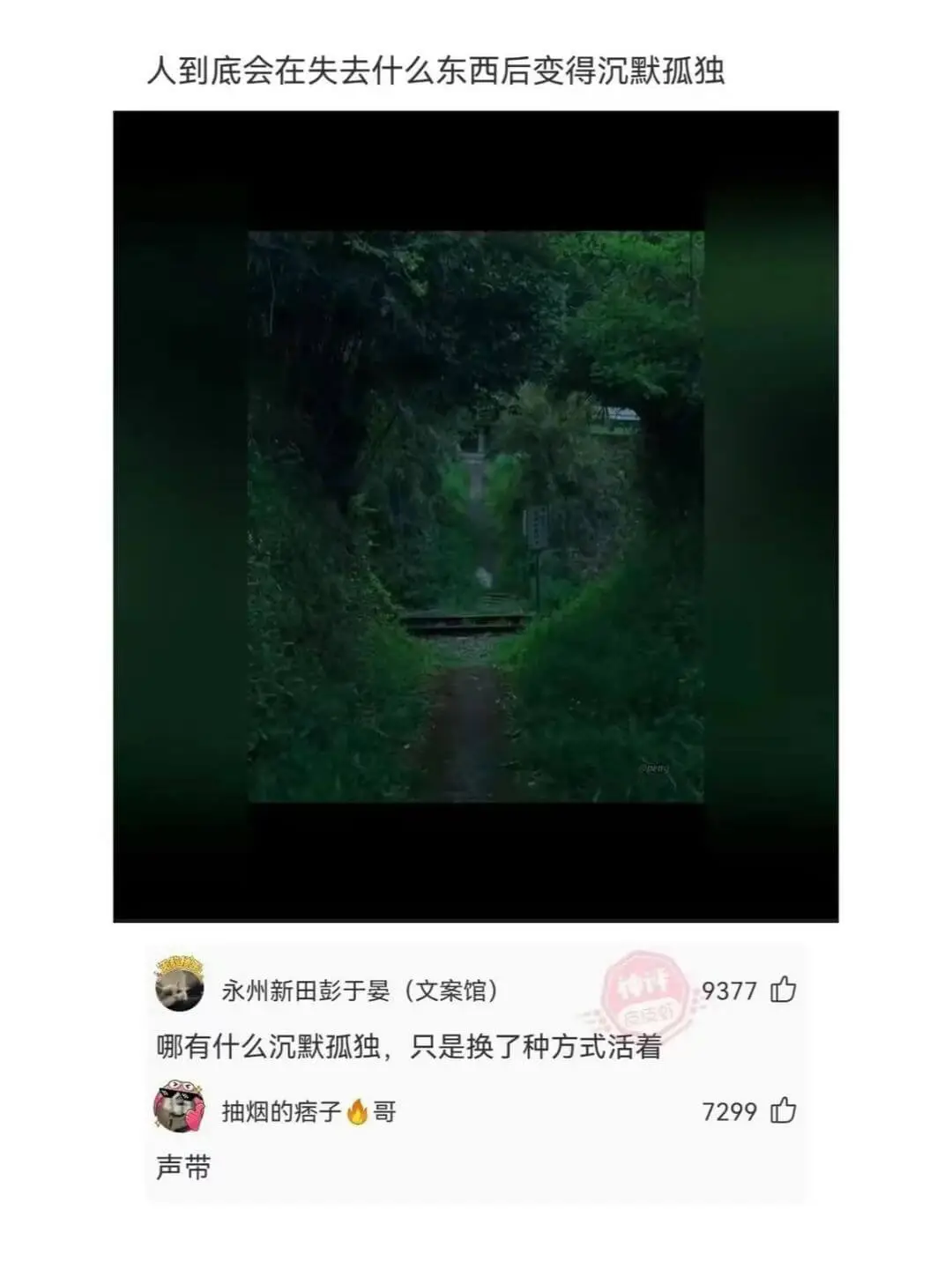 人到底会在失去什么东西后变得沉默孤独永州新田彭于晏（文案馆）