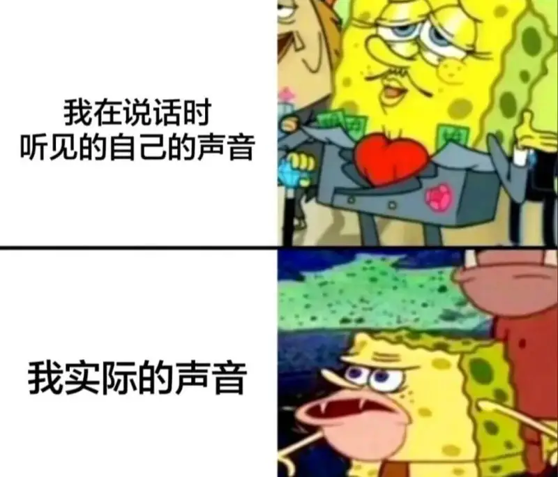 我在说话时听见的自己的声音我实际的声音