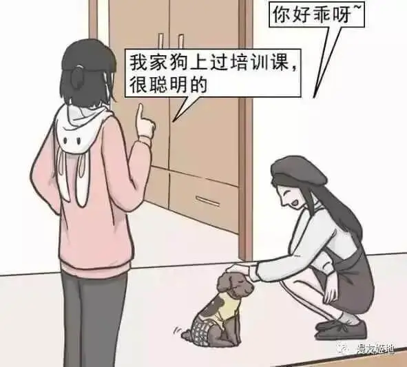 你好乖呀我家狗上过培训课，很聪明的。漫友控地
