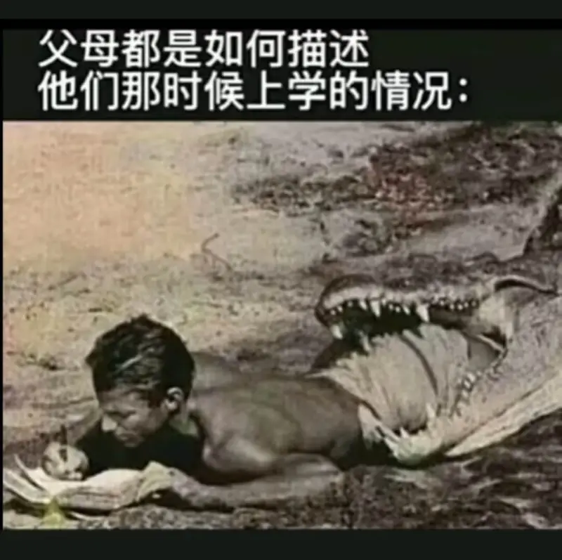 父母都是如何描述他们那时候上学的情况: