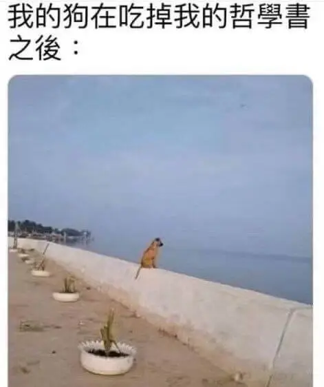 我的狗在吃掉我的哲書之俊：