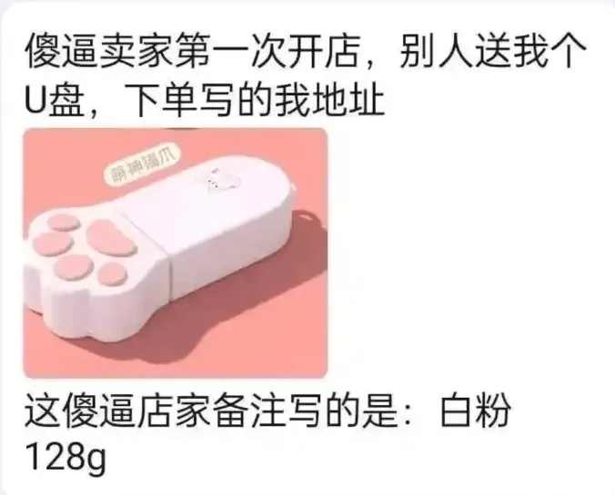 傻逼卖家第一次开店，别人送我个U盘，下单写的我地址。萌神猫爪
