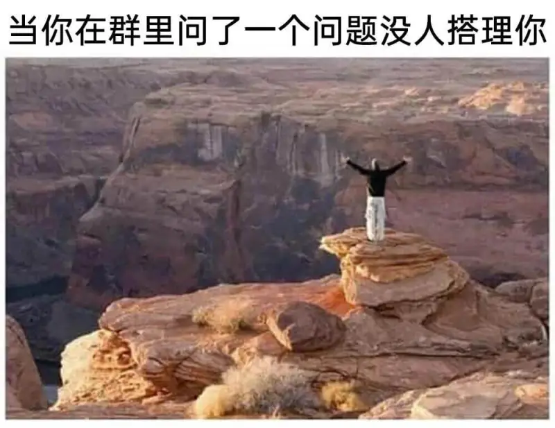 当你在群里问了一个问题没人搭理你