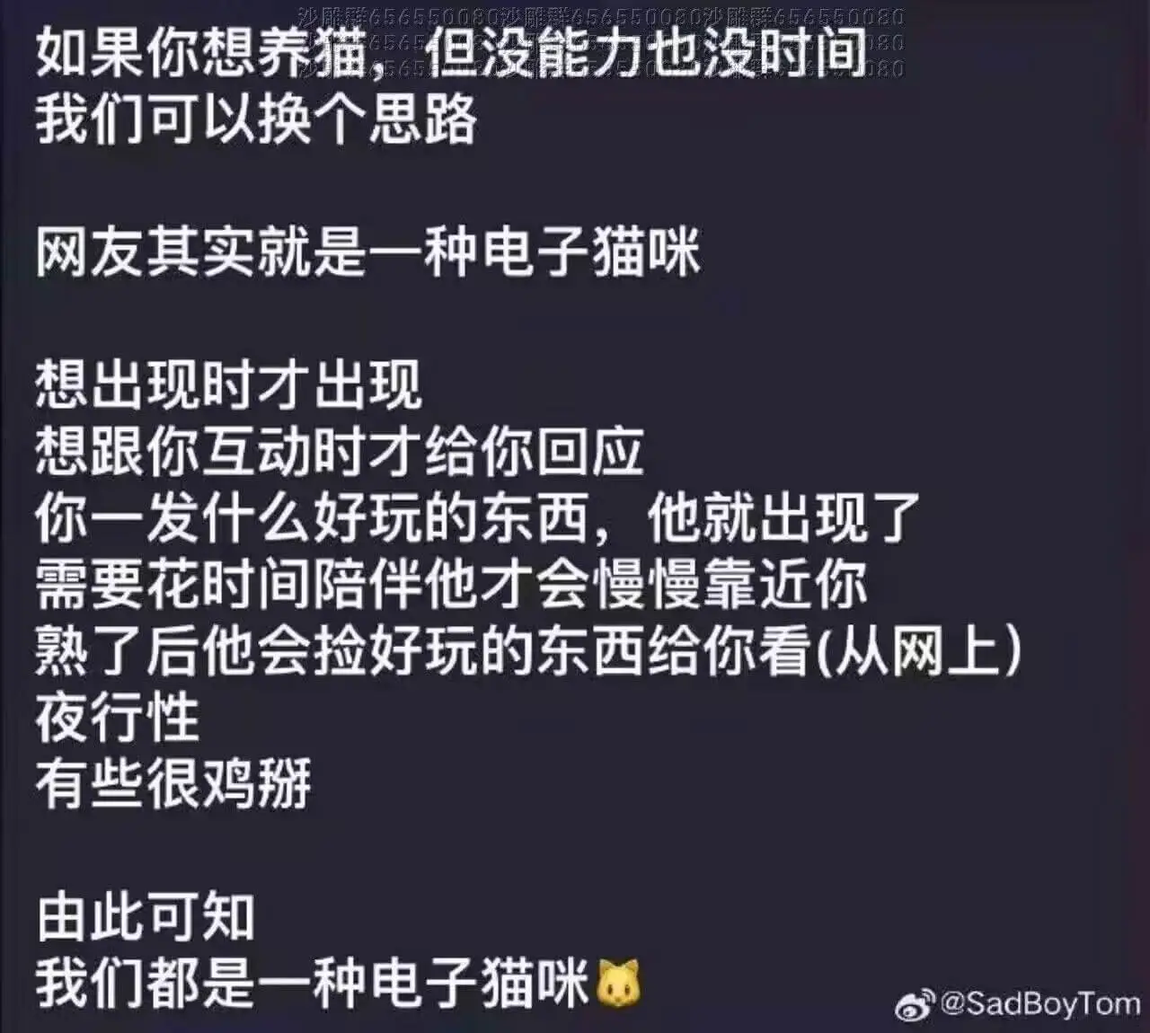 如果你想养猫但没能力也没时间我们可以换个思路网友其实就是一种