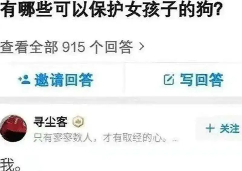 梗图