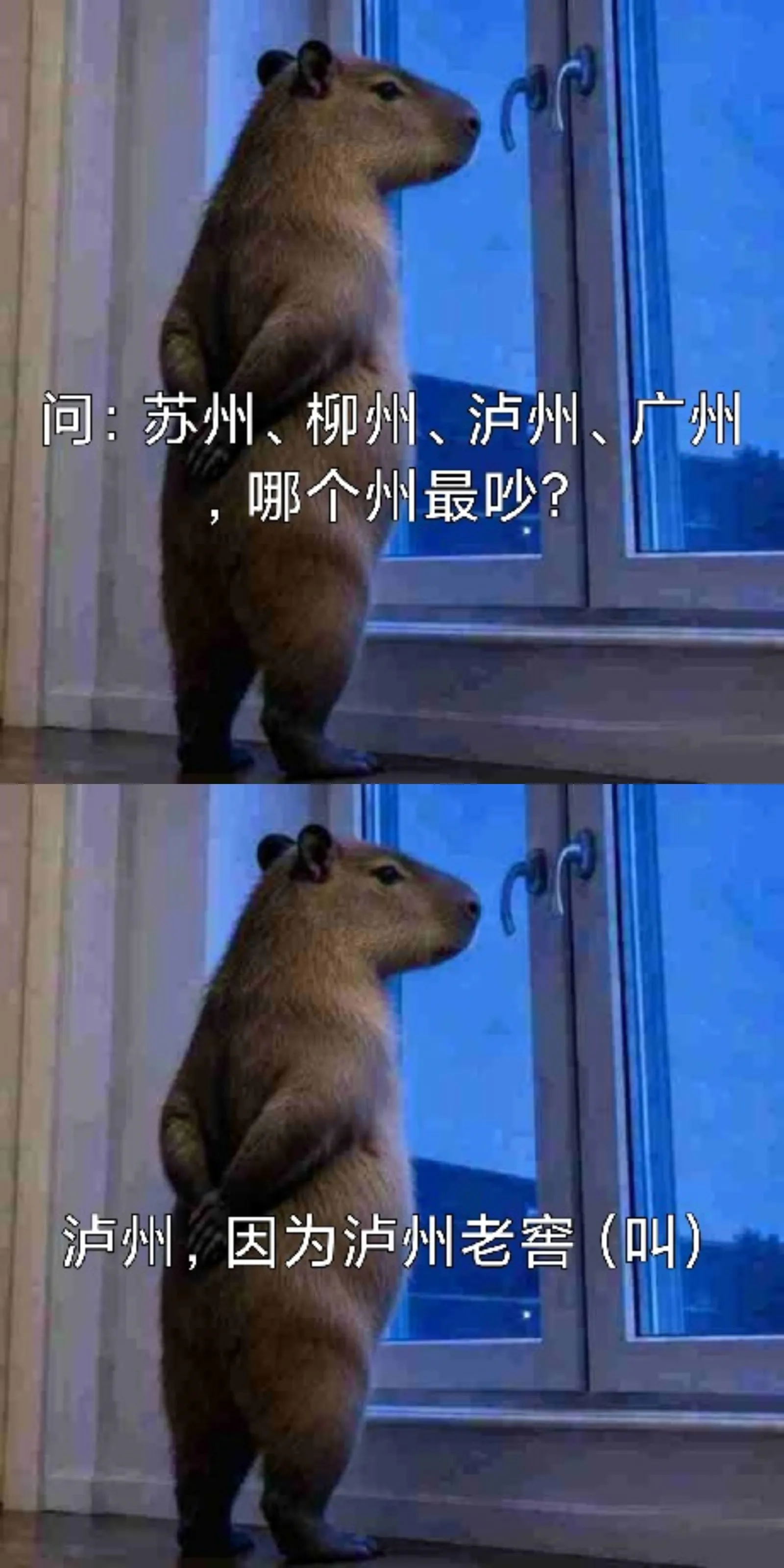 尝试用100个烂梗攻击即友（78/100）