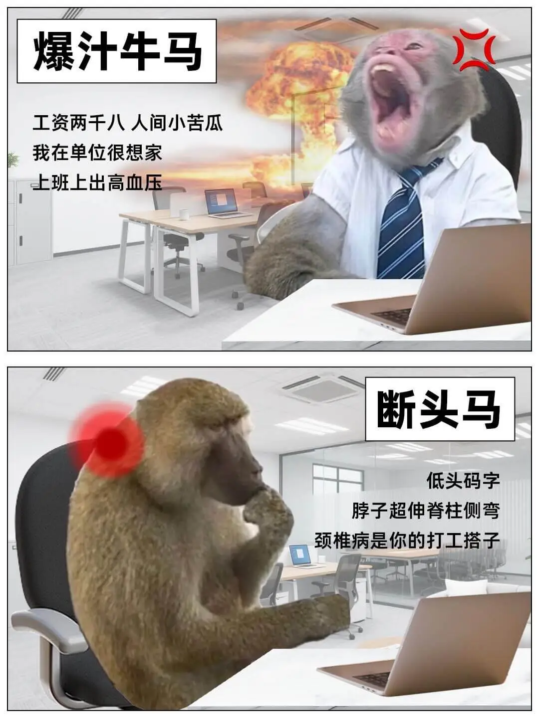 爆汁牛马工资两千八人间小苦瓜我在单位很想家上班上出高血压断头
