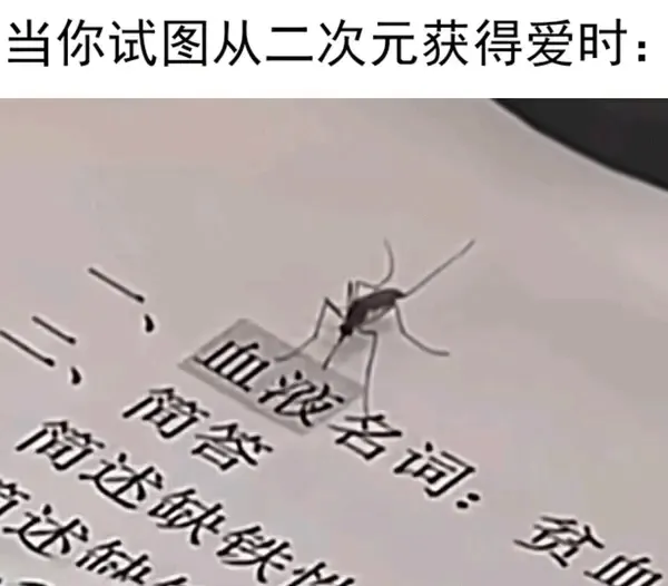 当你试图从二次元获得爱时：血浓名词：简述缺铁