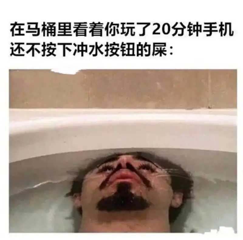 在马桶里看着你玩了20分钟手机还不按下冲水按钮的屎: