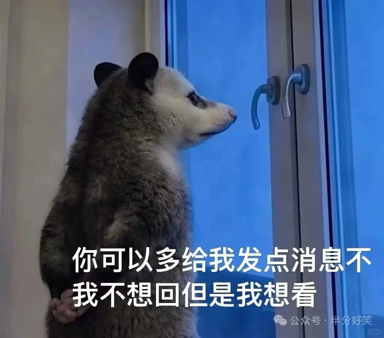 负鼠还是那么权威，字字句句戳心窝，越戳越疼😭