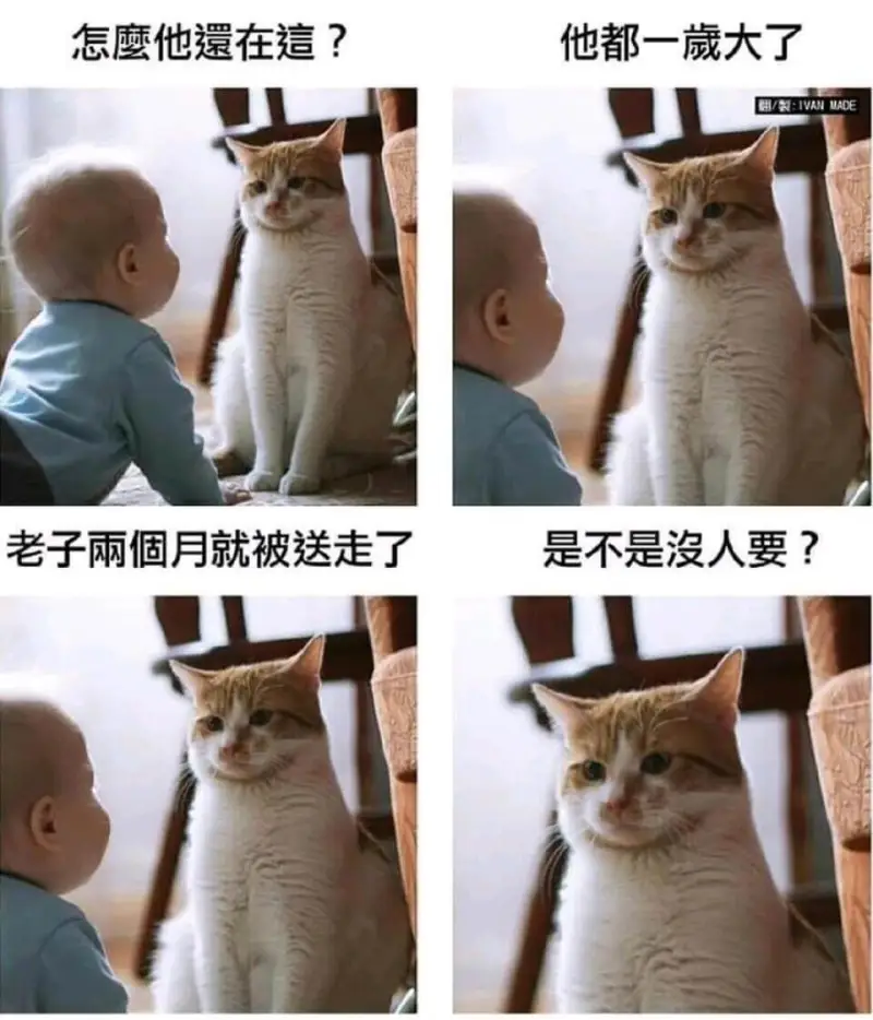 他怎么这么在意？他都一天了。EI：IVANMADE老子两个月