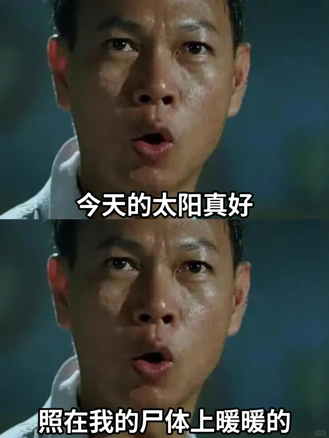 今天的太阳真好照在我的尸体上暖暖的