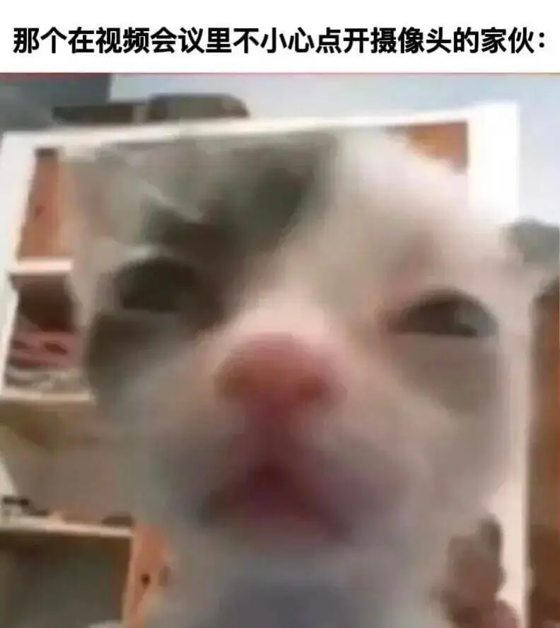 那个在视频会议里不小心点开摄像头的家伙：