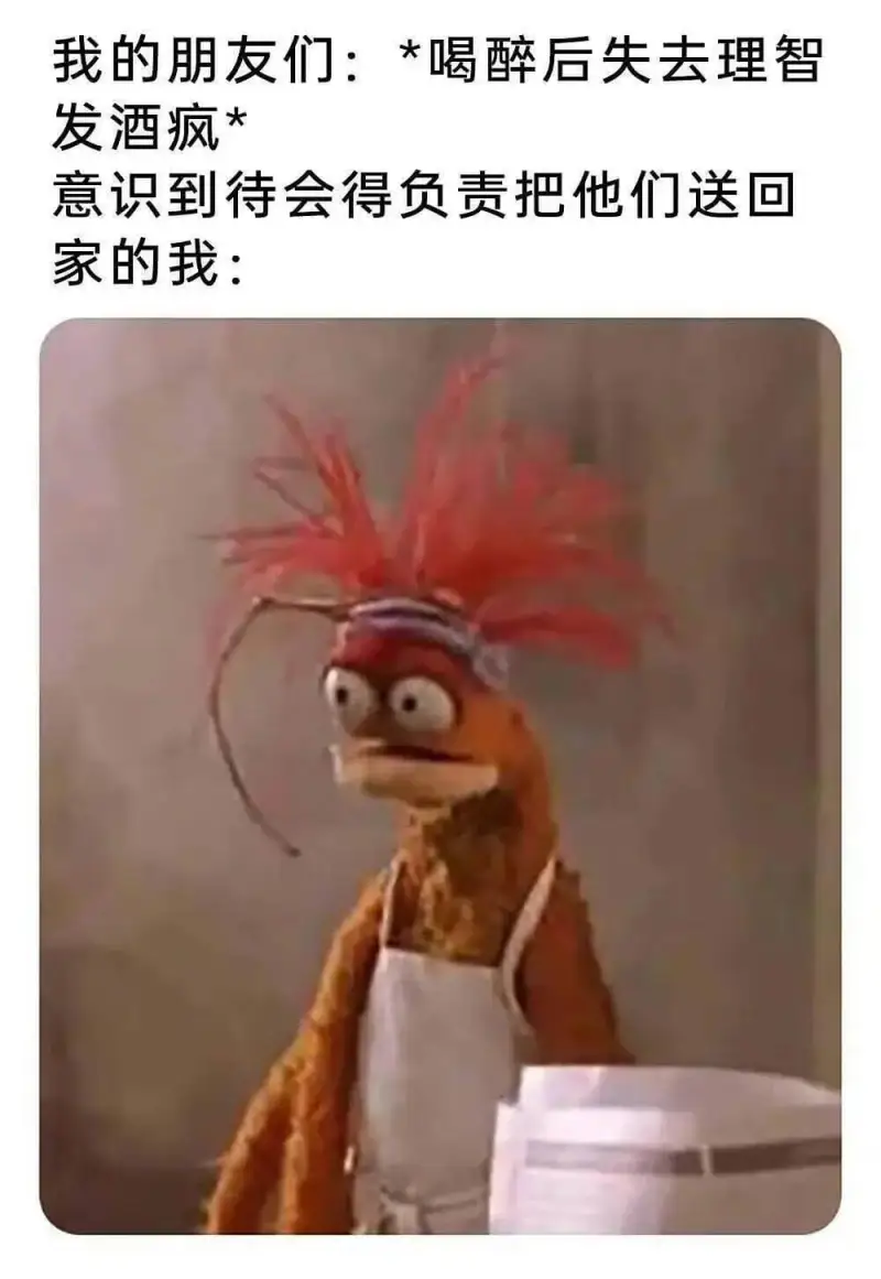 我的朋友们：*喝醉后失去理智发酒疯*意识到待会得负责把他们送